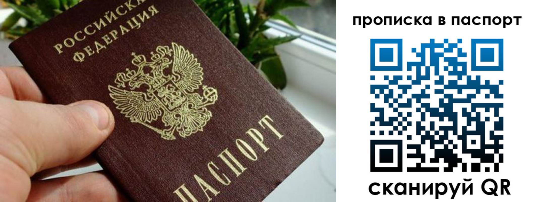 временная регистрация поиск в Красноуфимске